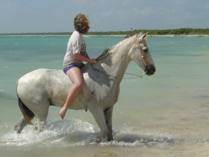 Karibikinsel reitausflüge